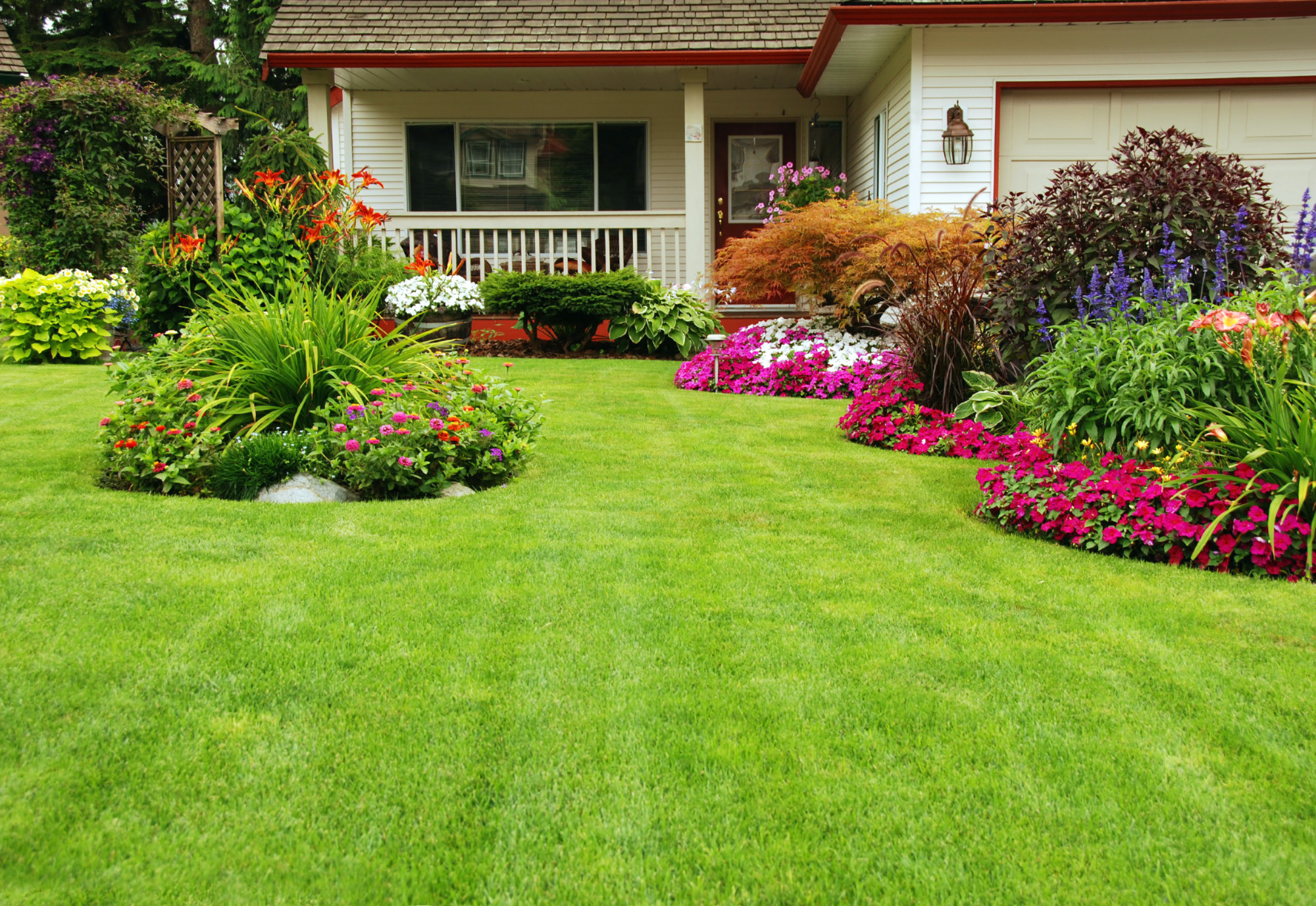 Best Lawn on the Block: This Is How to Make Grass Greener