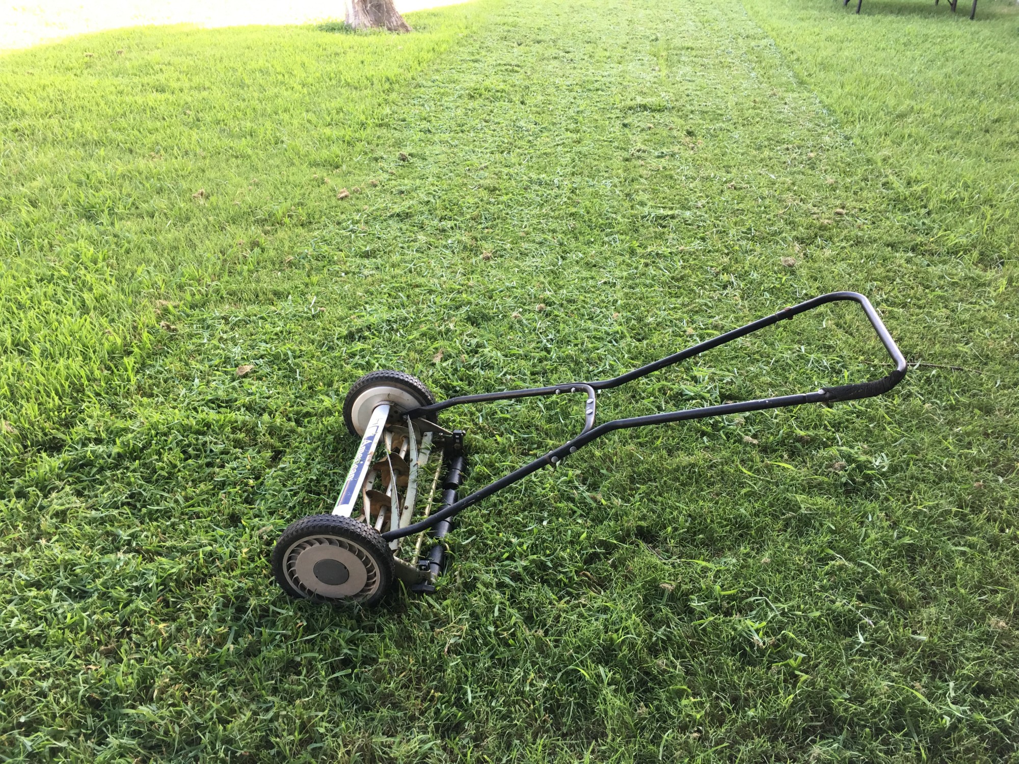 Lawn Trimming: Do’s and Don’ts