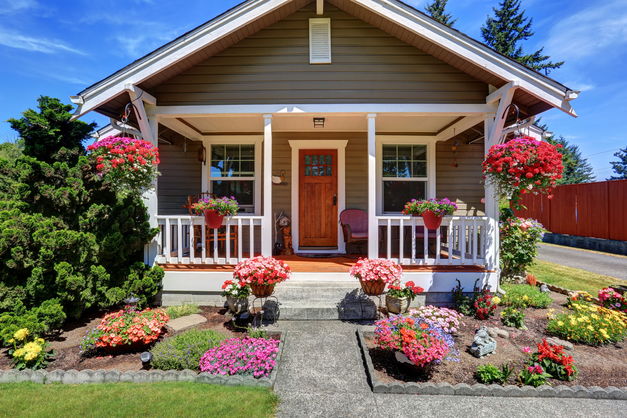 5 Sturdy Front Yard Plants to Boost Curb Appeal