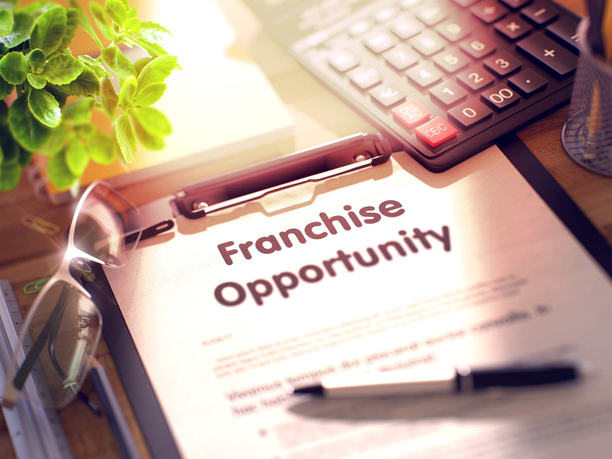 Is Owning a Franchise Worth It?