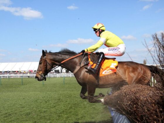 Grand National Festival: The favourites for the Liverpool Hurdle