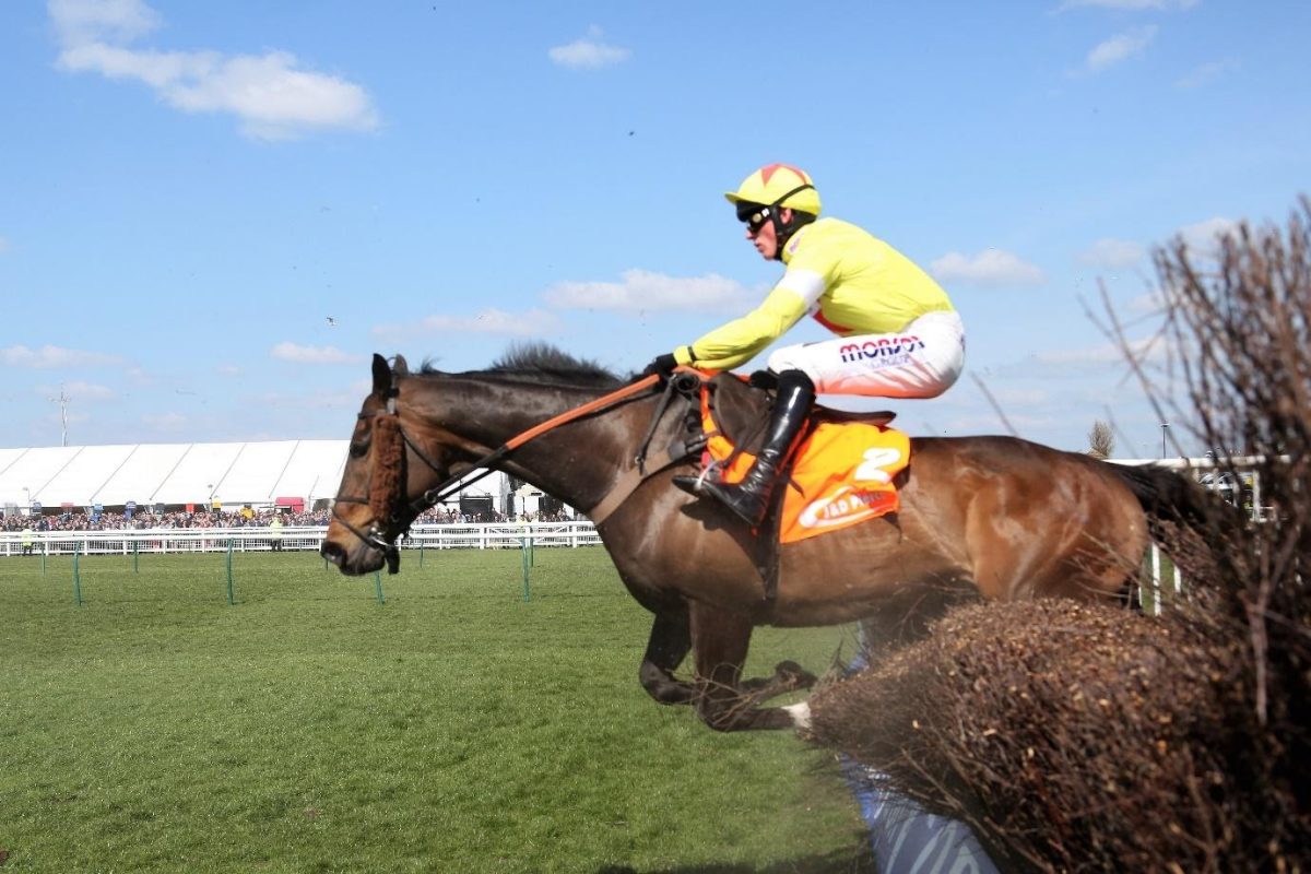 Grand National Festival: The favourites for the Liverpool Hurdle