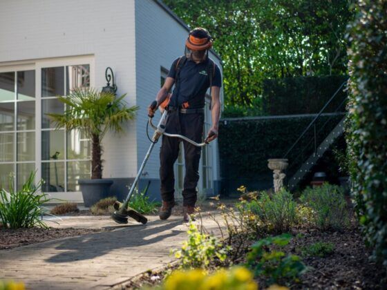Gardening tips 2022 — I’m an expert and my three simple tricks will keep your lawn free of weeds