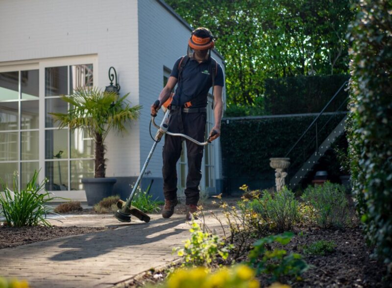 Gardening tips 2022 — I’m an expert and my three simple tricks will keep your lawn free of weeds