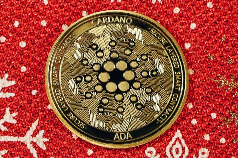 Purchase Cardano in Expectation of Future Development.