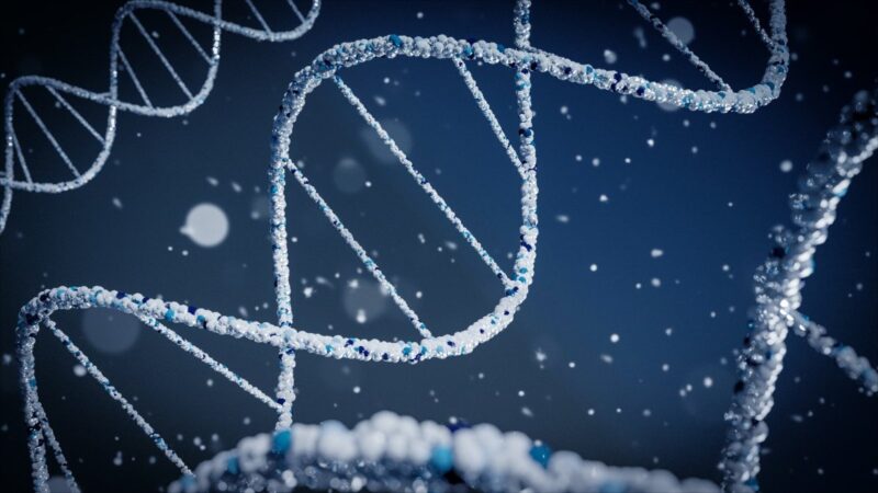 How DNA testing is used to solve crimes