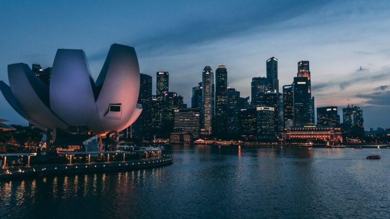 4 Reasons Why Your Cover Letter Matters in Singapore Citizenship Application