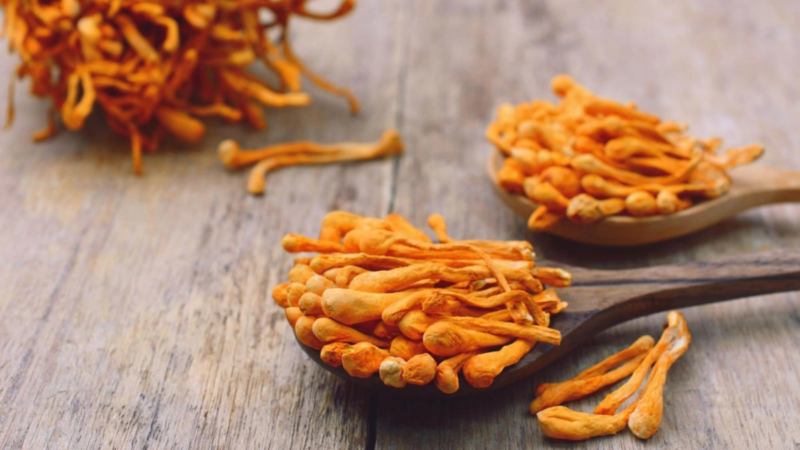 Top Benefits Of Cordyceps Mushrooms For Athletes