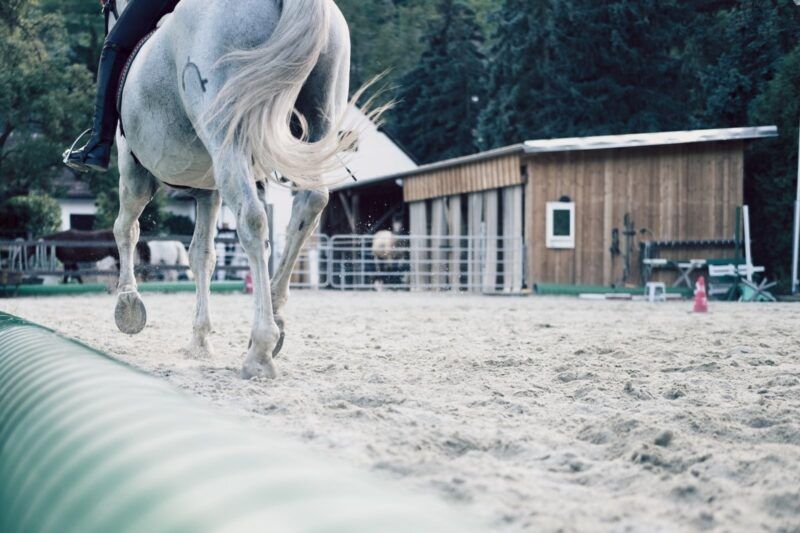 Treating Hoof Cracks with PEMF Therapy