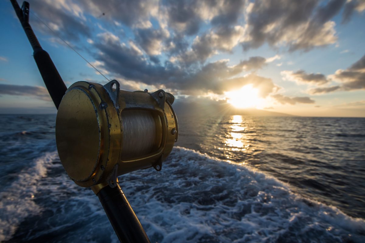 What to Know Before Your First Deep Sea Fishing Charter