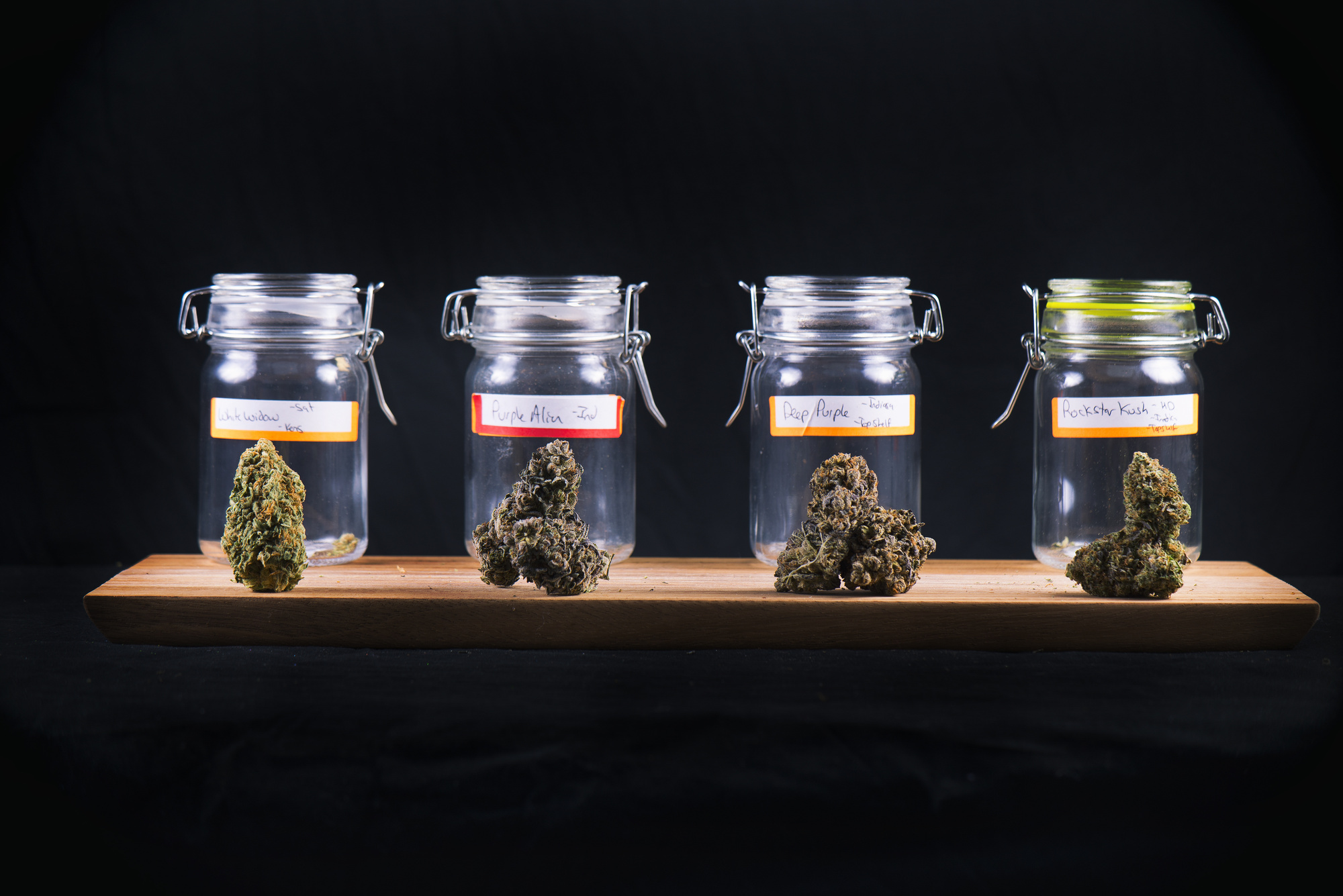 Most Popular Weed Strains