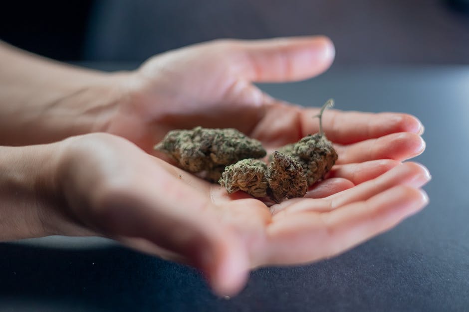 11 Common Cannabis Buyer Mistakes and How to Avoid Them