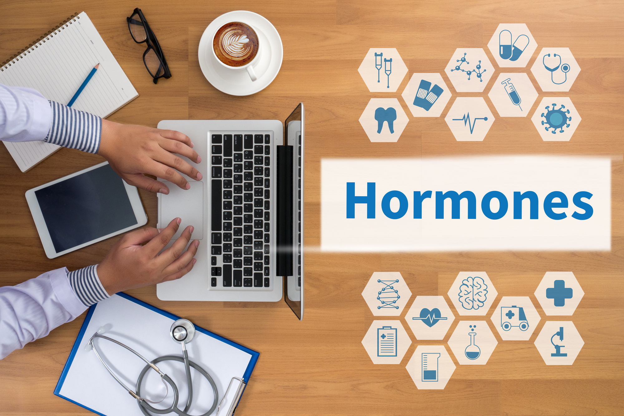 What Are Sex Hormones?