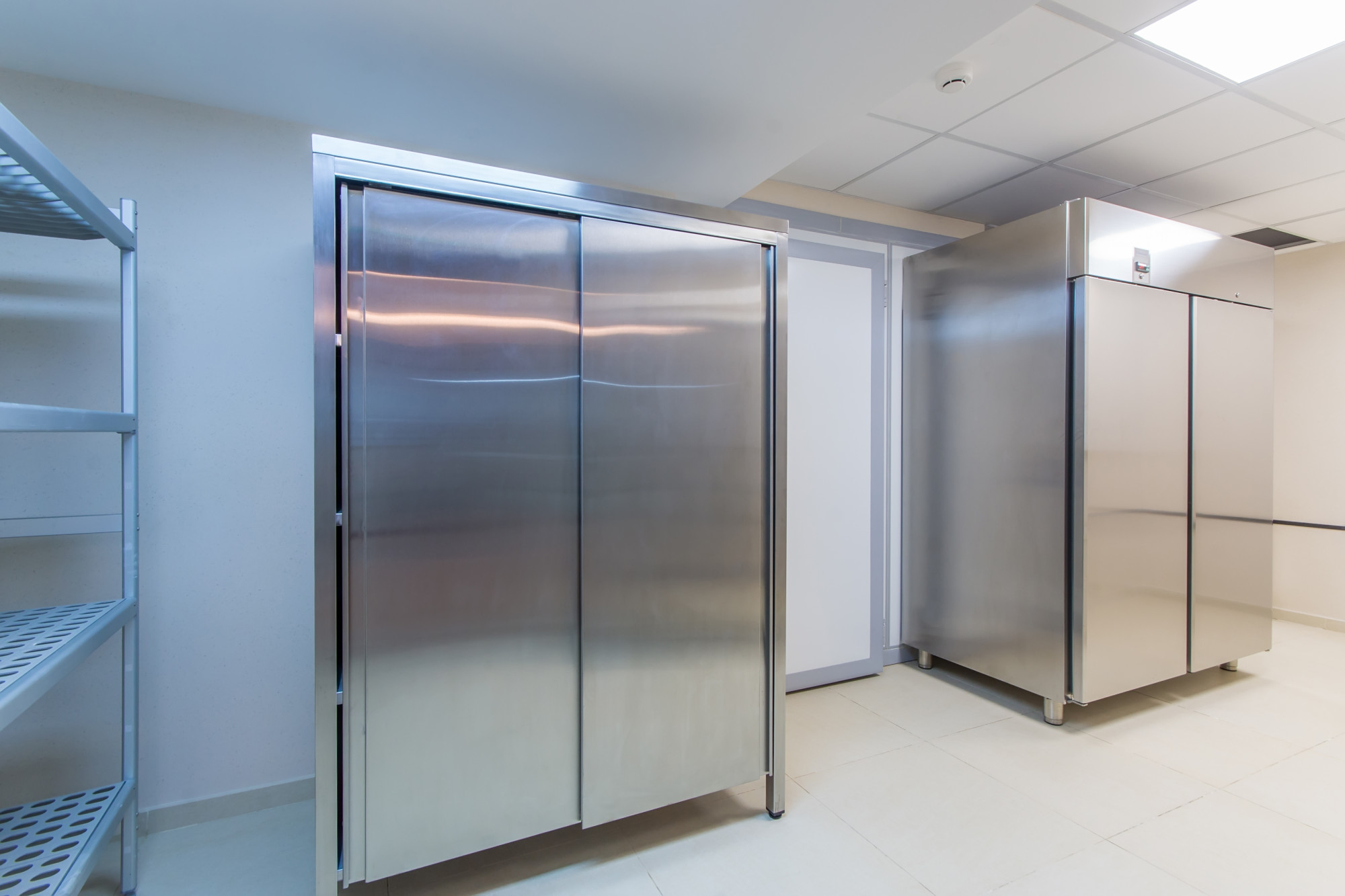 Everything You Need to Know About Using a Home Freeze Dryer for Your Cannabis Business