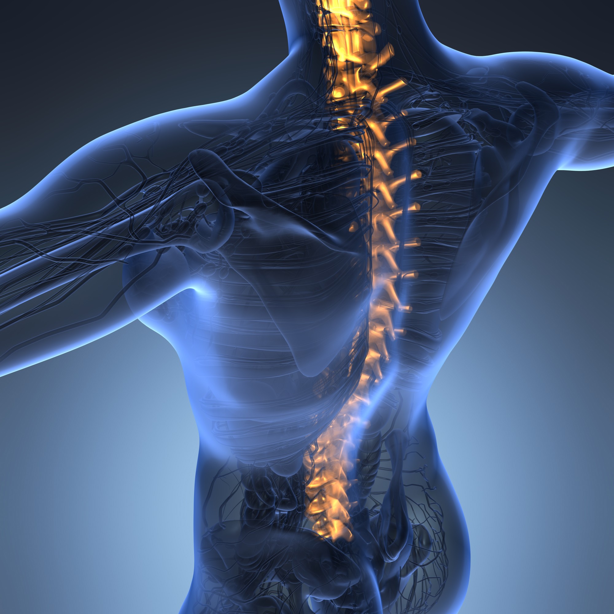 The Most Common Back Injuries: A Helpful Guide
