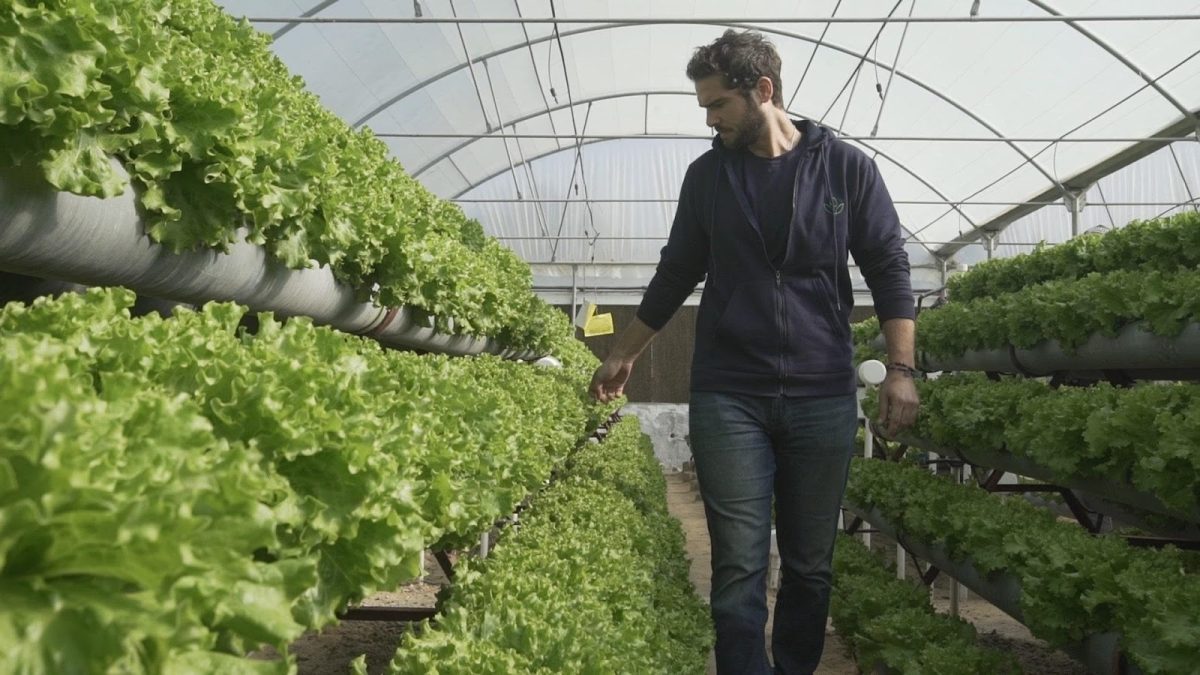 7 benefits of hydroponic farming