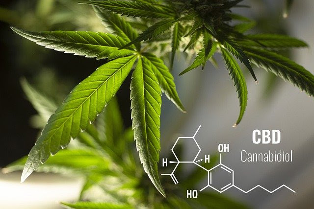 8 Quick Tips to Buy Quality CBD Products