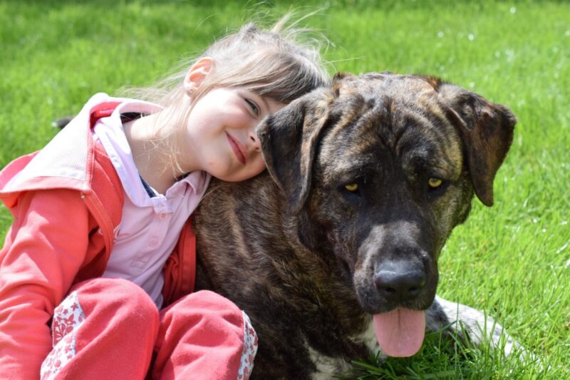 Dogs and Kids: Why You Should Get a Dog for Your Child