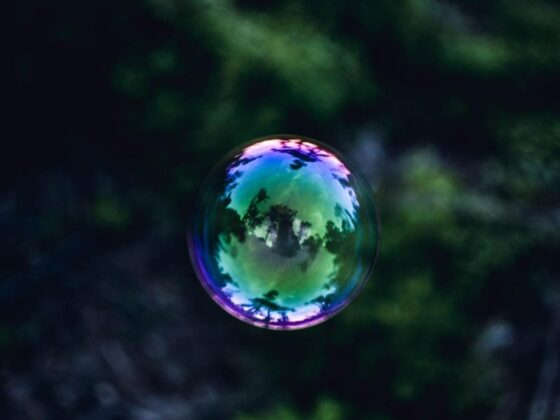 Economic Bubbles and their shortcoming: Cryptocurrency as the latest opportunity