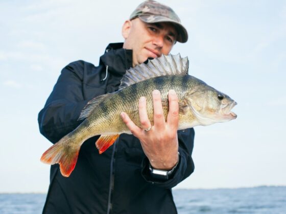 Getting The Most Out of Fishing: Why It’s Beneficial