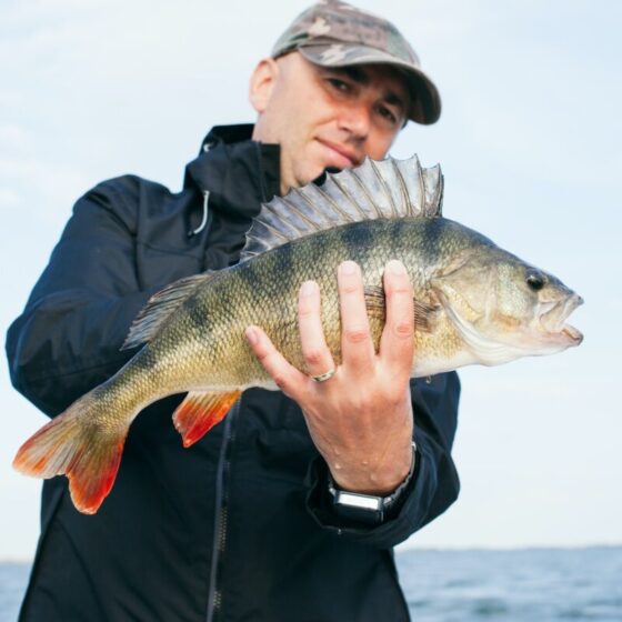 Getting The Most Out of Fishing: Why It’s Beneficial