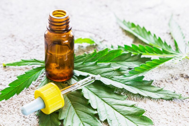 The Latest and Most Popular CBD Oil Facts and Statistics