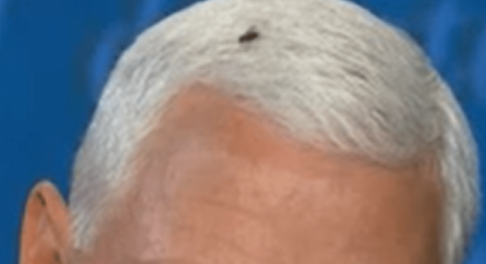 pence-fly-692x376.png